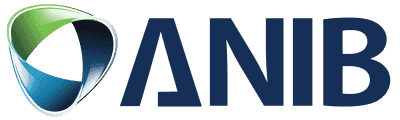 Anibessel Insurance